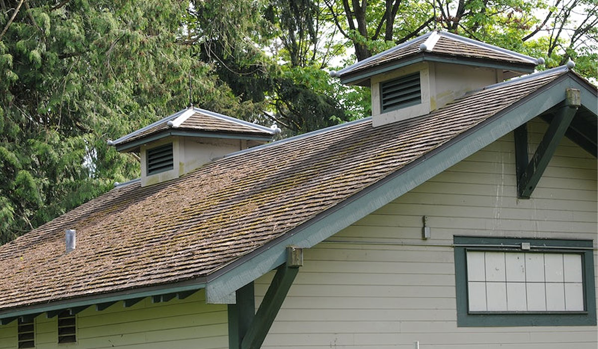 an image of a house with old roof