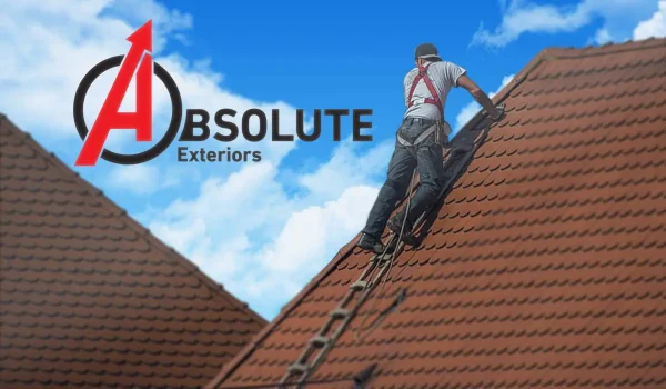a man on a roof with a ladder