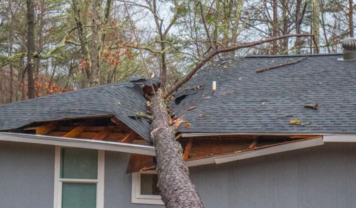 a fallen tree trunk on a house roof