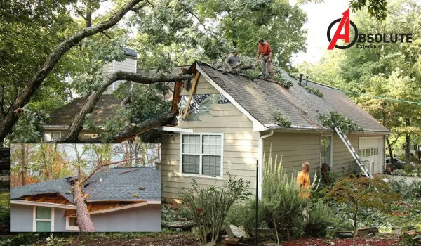 Storm Damage